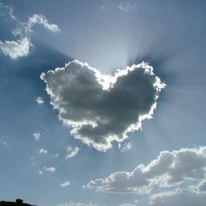 Meet your Posher, Mj